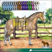 Horse Color:White Spotted Silver Buckskin Dun Sabino Splash Rabicano  and Silver Buckskin Dun Sabino Splash 