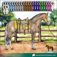 Horse Color:White Spotted Silver Buckskin Dun Sabino Splash Rabicano  and Silver Buckskin Dun Sabino Splash 
