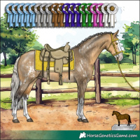 Horse Color:White Spotted Silver Buckskin Dun Sabino Splash Rabicano and Silver Buckskin Dun Sabino Splash