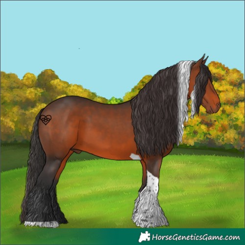 Horse Color:Brown Tobiano 