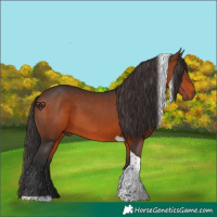 Horse Color:Brown Tobiano 