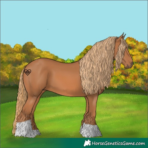 Horse Color:Chestnut Tobiano