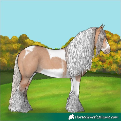 Horse Color:Silver Bay Dun Sabino Tobiano Frame Rabicano