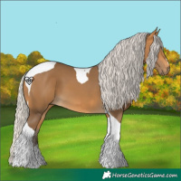 Horse Color:Silver Buckskin Tobiano 