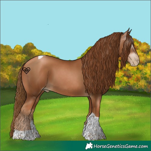 Horse Color:Gray Chestnut Pearl Tobiano