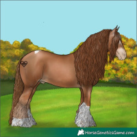 Horse Color:Gray Chestnut Pearl Tobiano 