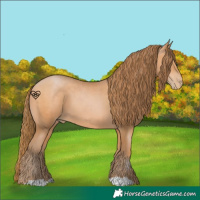 Horse Color:Bay Pearl 