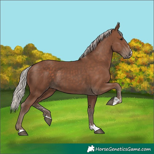 Horse Color:Silver Black 