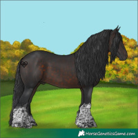 Horse Color:Brown Tobiano 