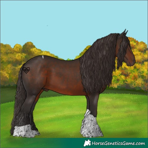 Horse Color:Liver Chestnut Tobiano 