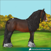 Horse Color:Brown Splash Tobiano 