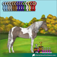 Horse Color:Silver Black Tobiano