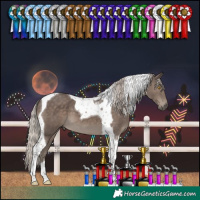 Horse Color:Silver Black Tobiano 