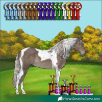 Horse Color:Silver Black Tobiano