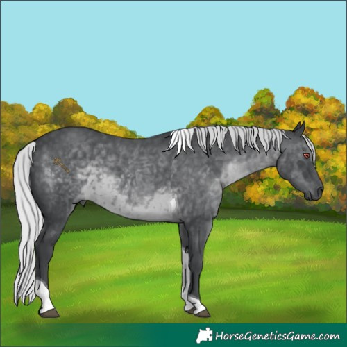 Horse Color:Silver Black Chinchilla Tobiano 