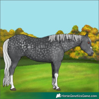 Horse Color:Silver Black Chinchilla Tobiano 