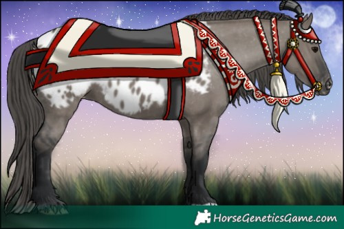 Horse Color:Grullo Appaloosa 
