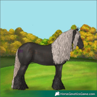 Horse Color:Liver Chestnut Mushroom 