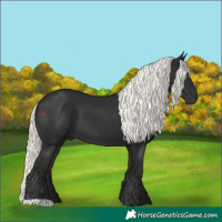 Horse Color:Liver Chestnut Mushroom 