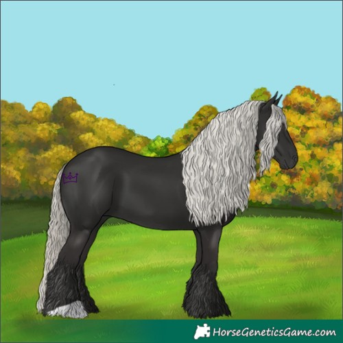 Horse Color:Liver Chestnut Mushroom 