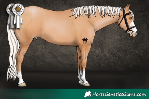 Horse Color:Silver Bay Pearl 