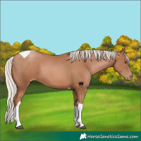 Horse Color:Silver Black Pearl Tobiano 