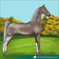 Horse Color:Silver Grullo Sabino Tobiano