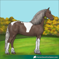 Horse Color:Silver Black Tobiano 