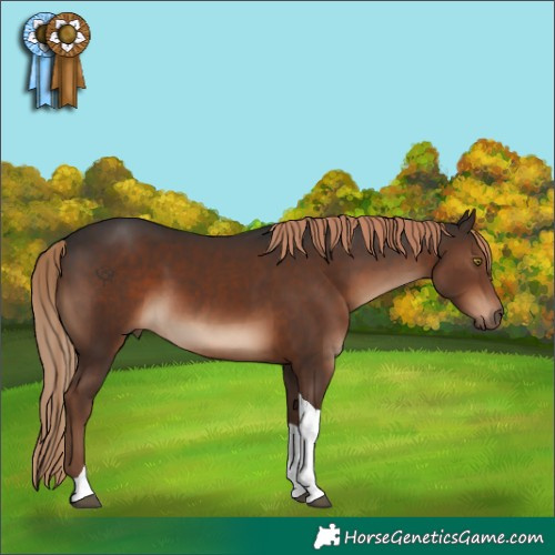Horse Color:Liver Chestnut Tobiano 