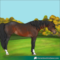 Horse Color:Brown 
