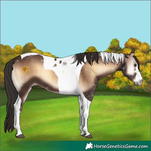Horse Color:Liver Red Onyx Tobiano 