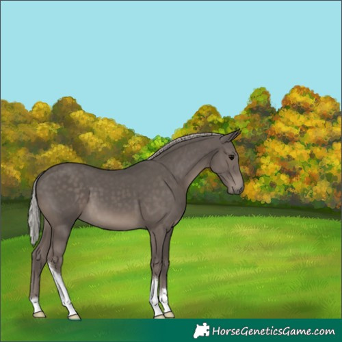 Horse Color:Silver Black 