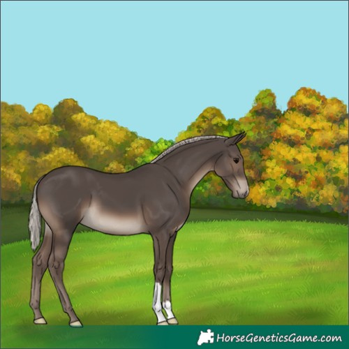 Horse Color:Silver Black 