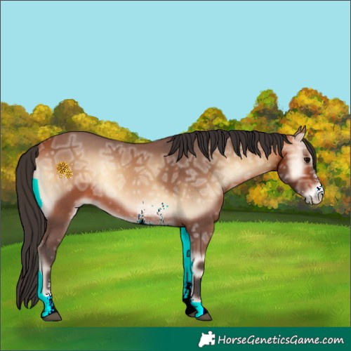 Horse Color:Bay Ice Onyx Sabino Rabicano 
