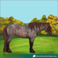 Horse Color:Chocolate Bay Ice Roan 