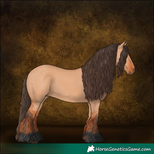 Horse Color:Bay Dun 