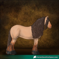 Horse Color:Bay Dun