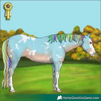 Horse Color:Painted Watercolor White Spotted Liver Chestnut Splash 