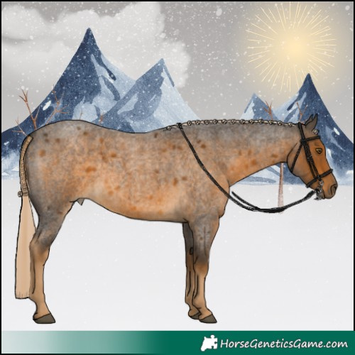 Horse Color:White Spotted Chocolate Palomino Roan 