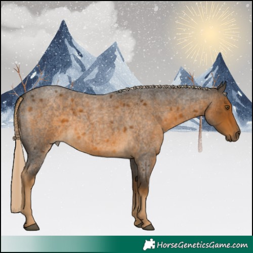 Horse Color:White Spotted Chocolate Palomino Roan 