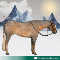 Horse Color:White Spotted Chocolate Palomino Roan 