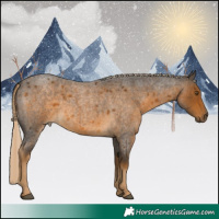 Horse Color:White Spotted Chocolate Palomino Roan