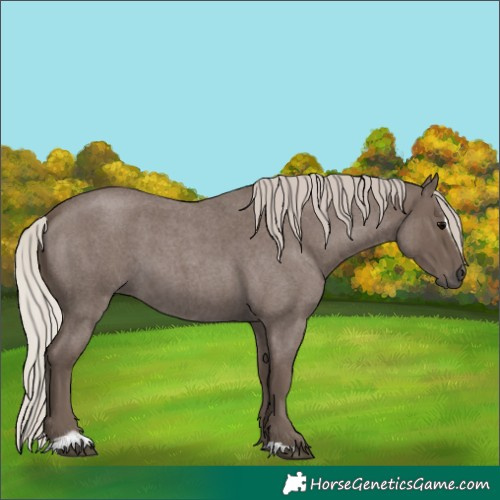 Horse Color:Silver Blue Roan Sabino