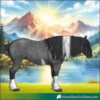 Horse Color:Blue Roan Tobiano 