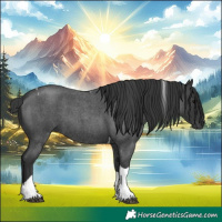 Horse Color:Blue Roan Tobiano