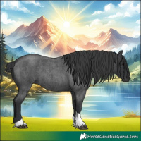 Horse Color:Blue Roan Tobiano 