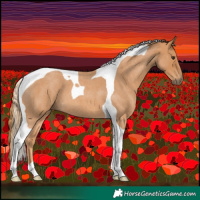 Horse Color:Red Roan Tobiano 