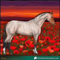 Horse Color:Bay Roan Tobiano 