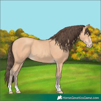 Horse Color:Amber Champagne 