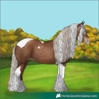Horse Color:Gray Silver Black Pearl Tobiano 